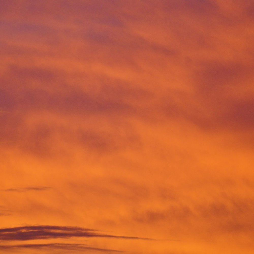 Meet your Posher, Isabella